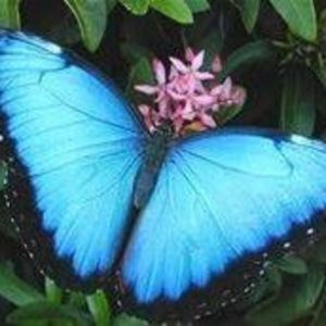 Meet your Posher, Kendra